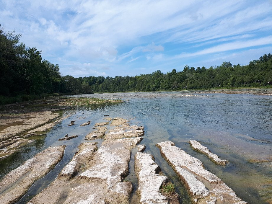 Falls Reserve Conservation Area景点图片