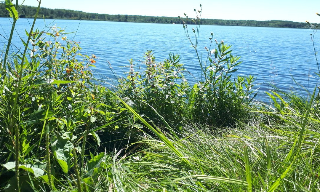 Turtle Mountain Provincial Park-波伊斯维因必去景点