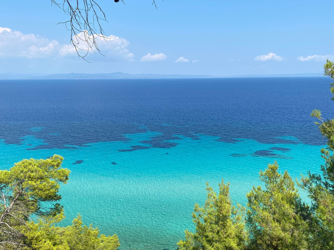 Elies 33 Bio Retreat主图