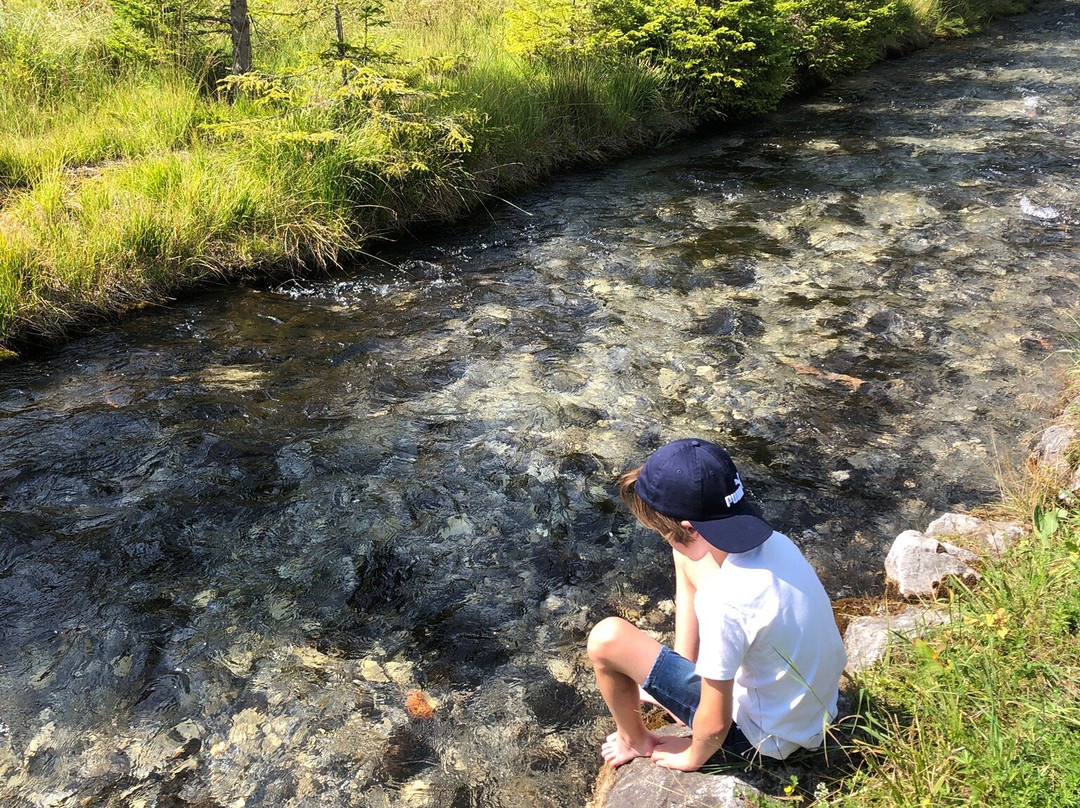 Hotel Gasthof zum Goldenen Lowen主图