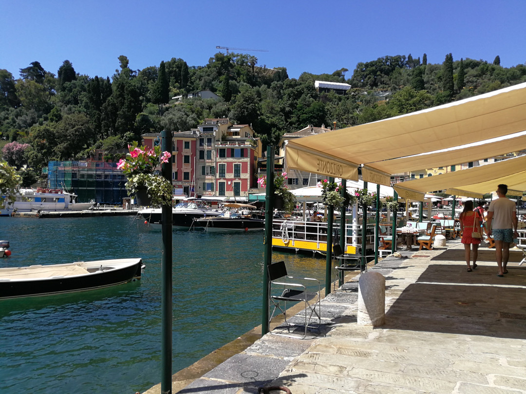 Marina di Portofino景点图片
