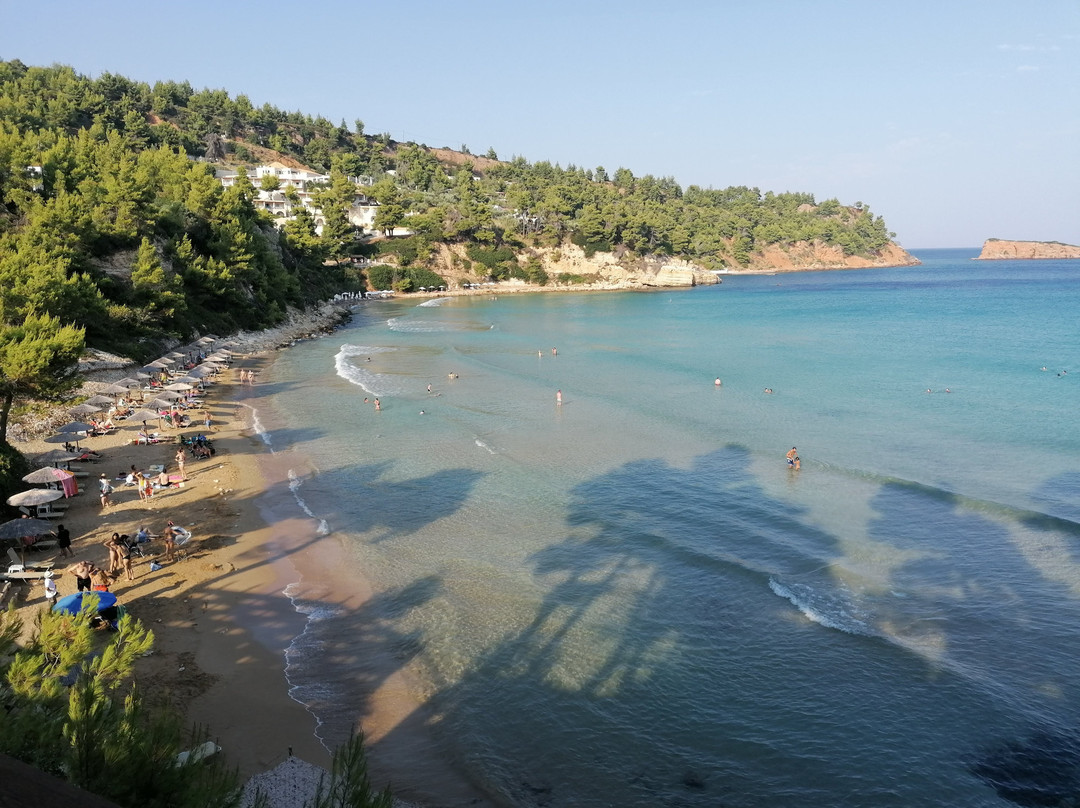 Alonissos Beach Bungalows & Suites Hotel主图