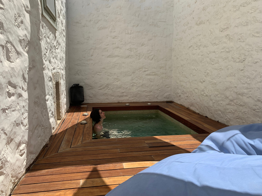 Cotommatae Hydra 1810主图