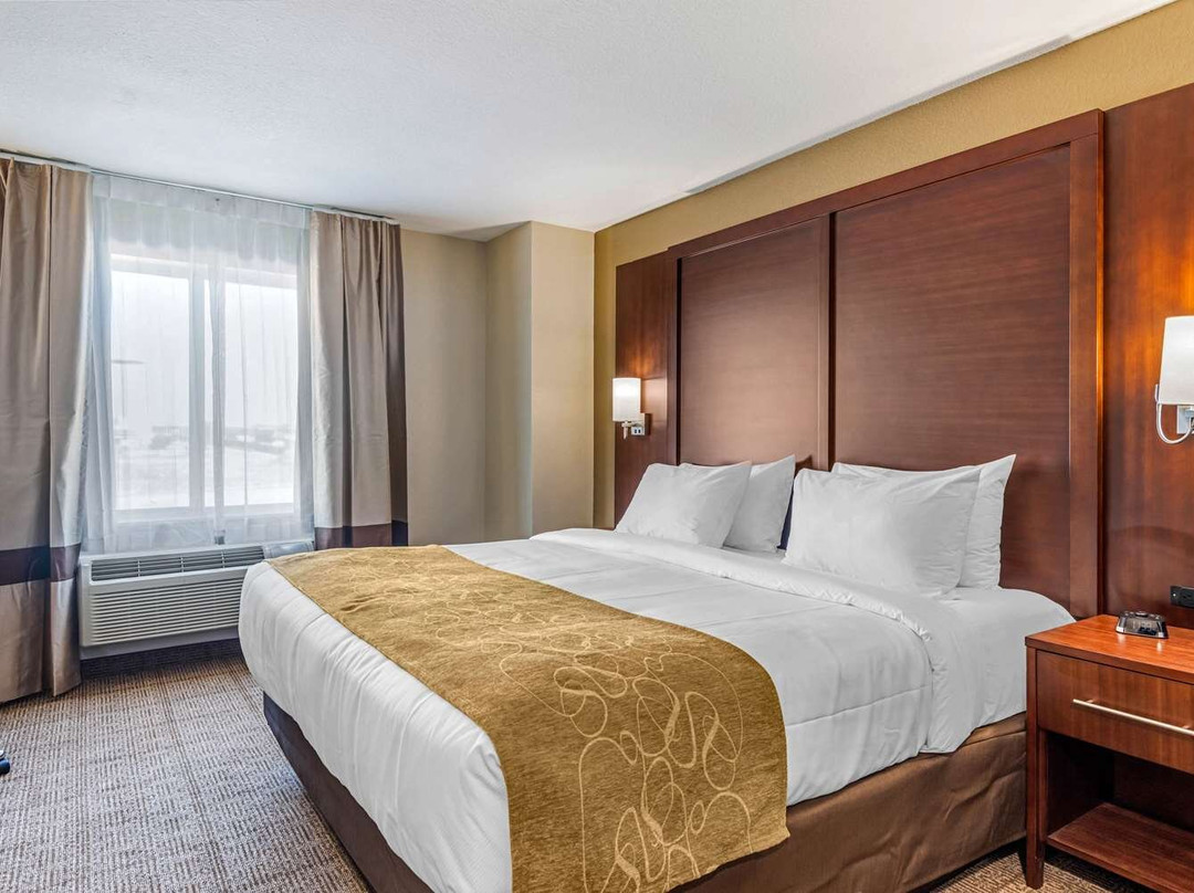 Comfort Inn & Suites主图