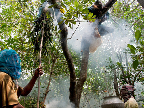 Tourism Window LTD-达卡市必去景点