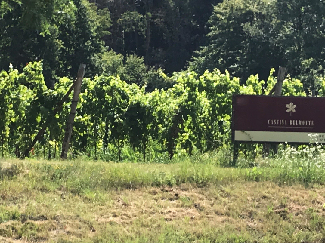 Cascina Belmonte景点图片