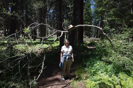 Bluff Lake Reserve-大熊湖必去景点