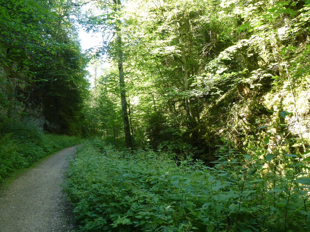 Ferme de la Combe Tabeillon-Glovelier必去景点