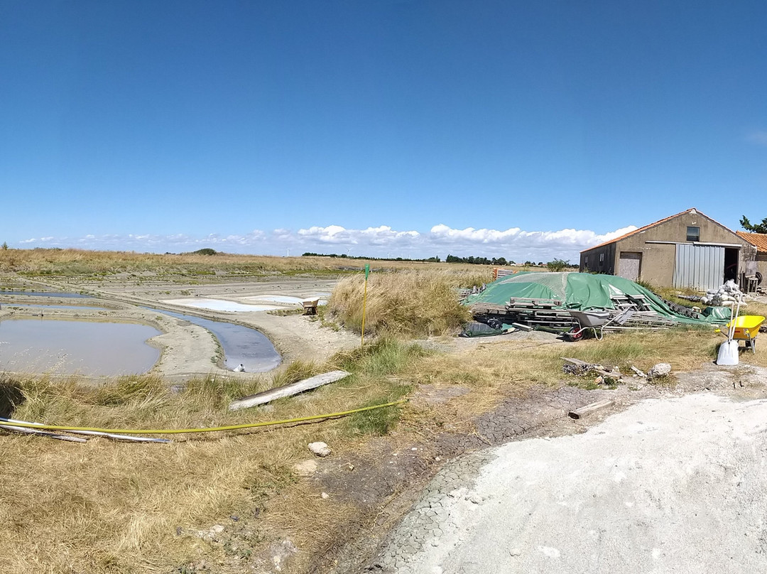 Salines du Breuil景点图片