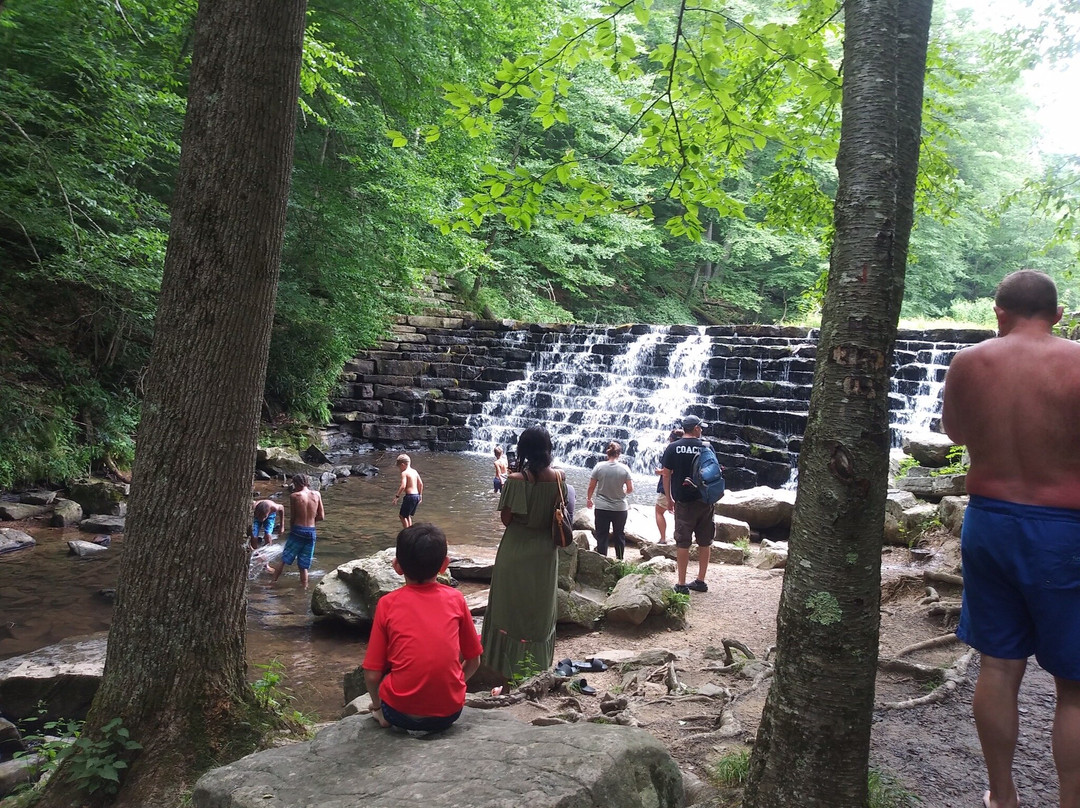 Laurel Hill State Park景点图片