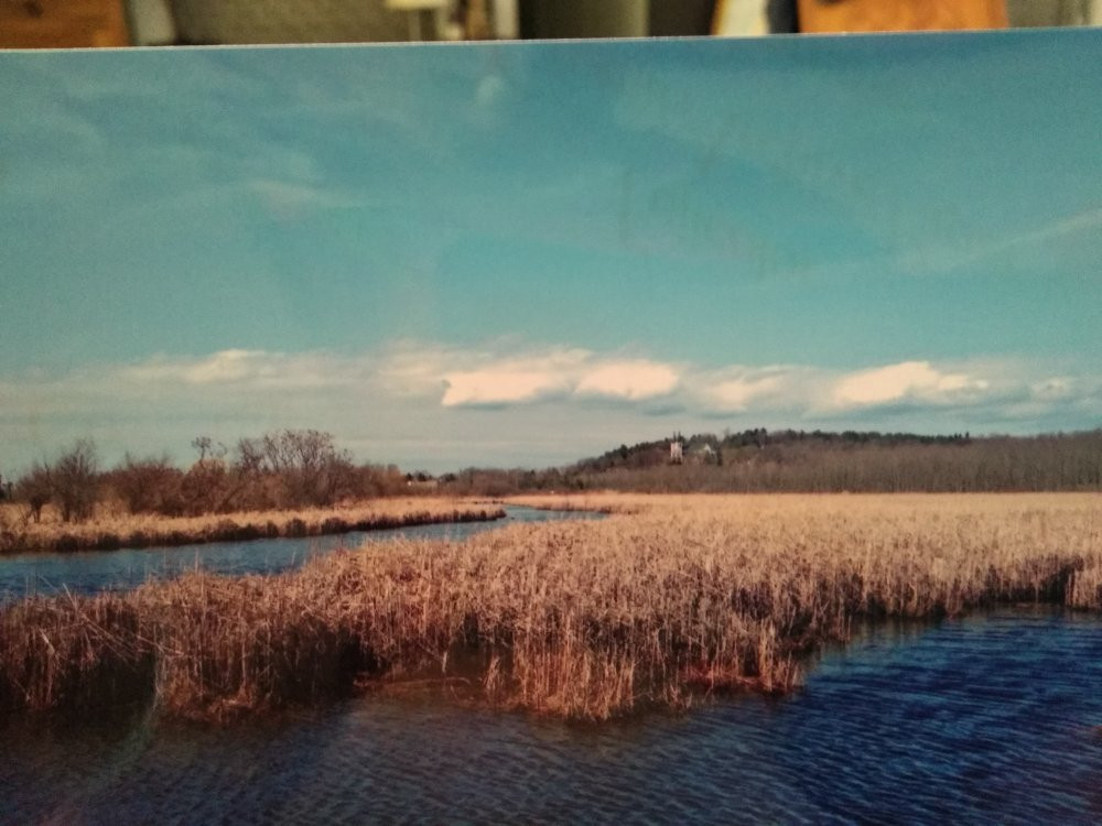 Wye Marsh Wildlife Centre景点图片