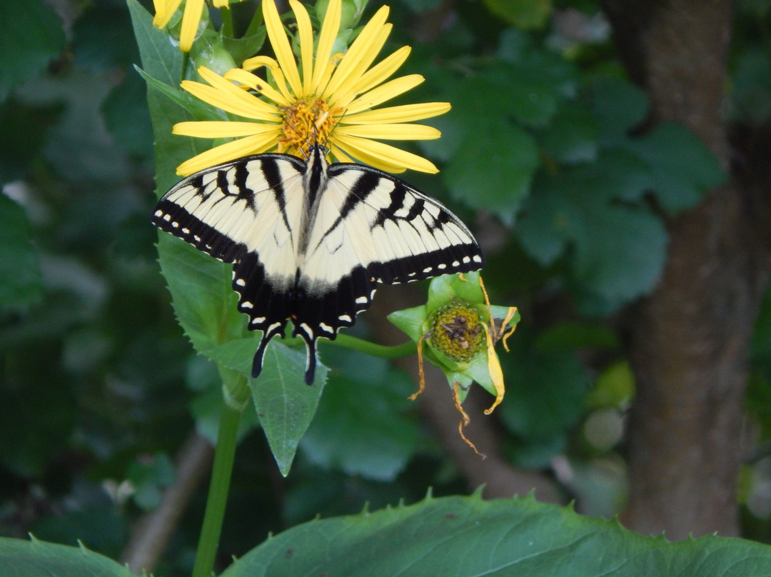 Prairie Edge Nature Park景点图片