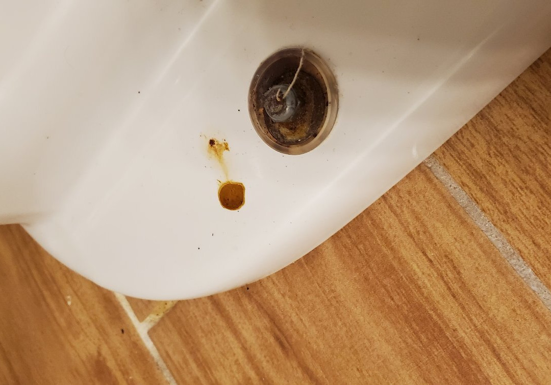 伊丽莎白敦贝蒙特旅馆&套房酒店主图