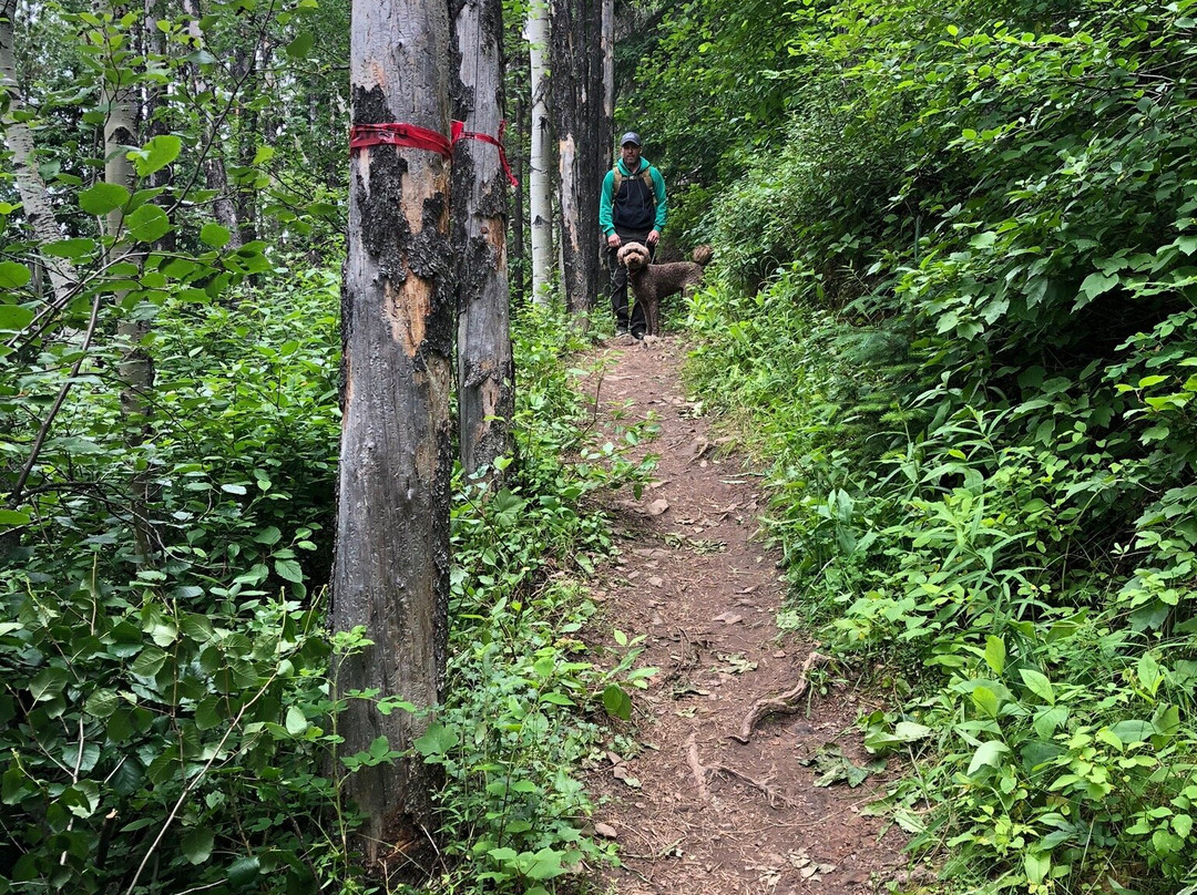Kinuseo Falls-Tumbler Ridge必去景点