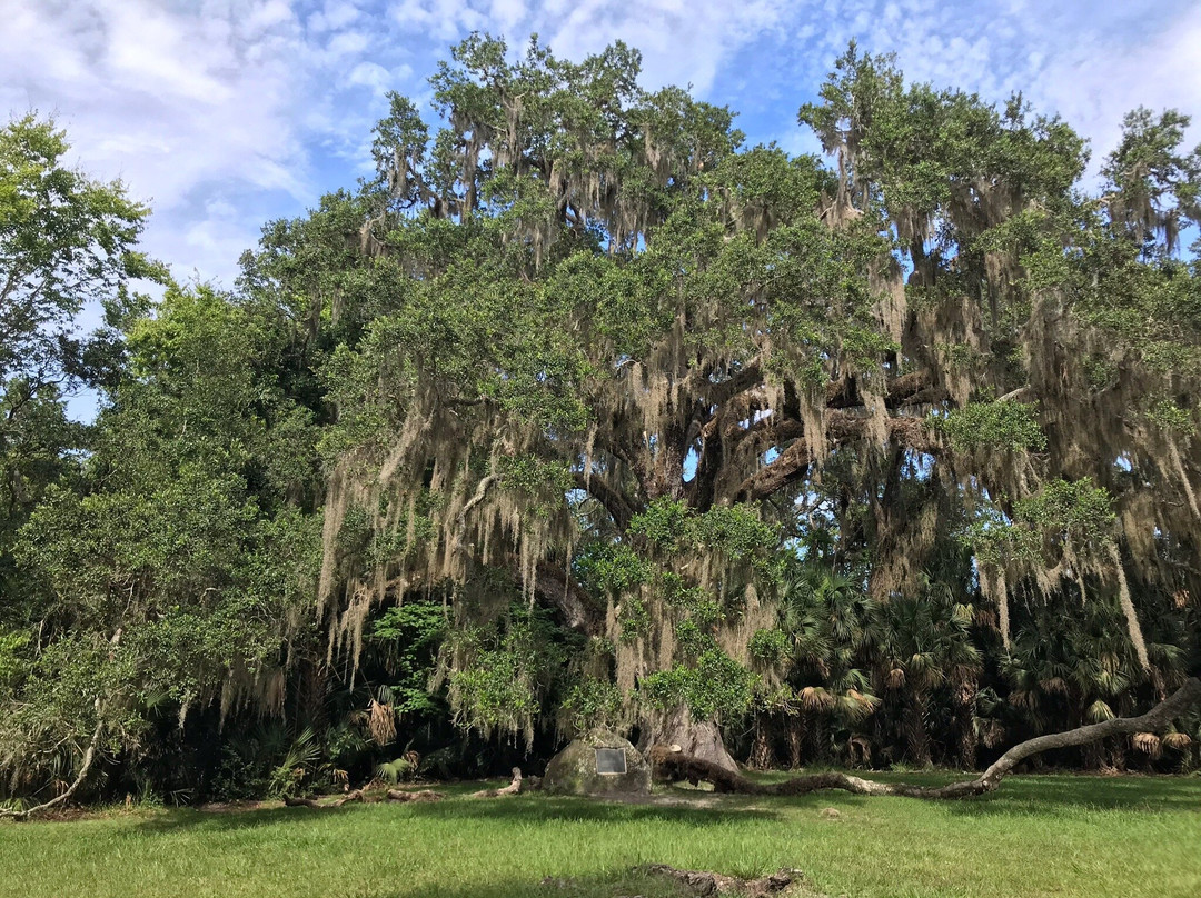 Bulow Creek State Park-奥蒙德海滩必去景点