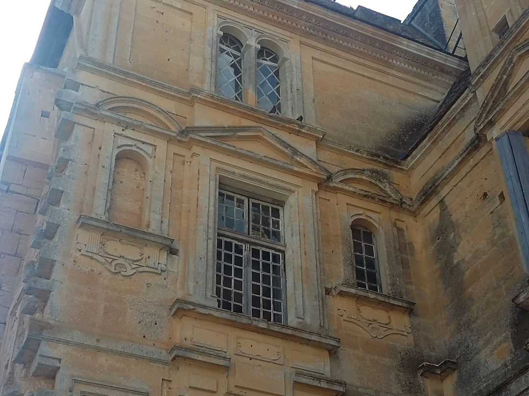 Chateau de Lanquais景点图片