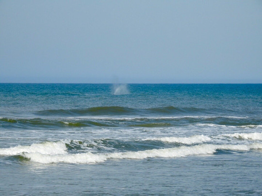 Praia Balneario Figueirinha-Jaguaruna必去景点