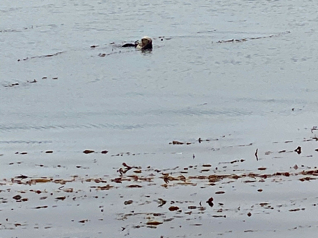 Gray's Inn and Gallery主图