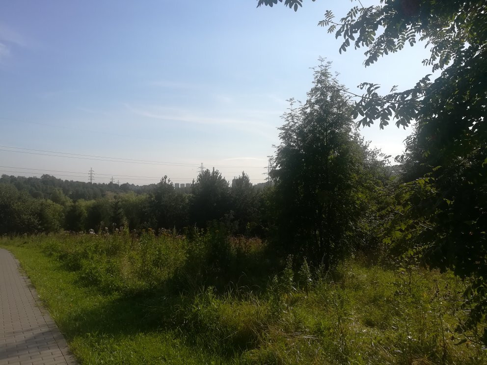 Landscape Park Mitino景点图片