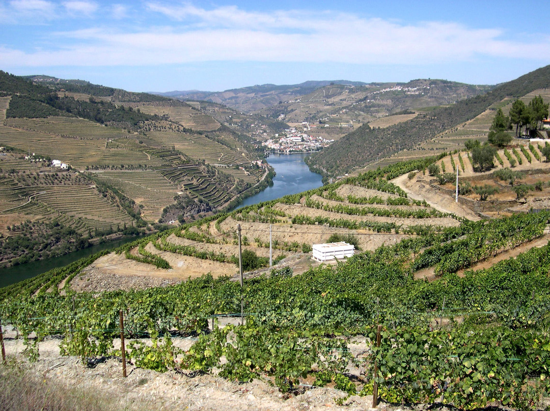 Douro Tours景点图片