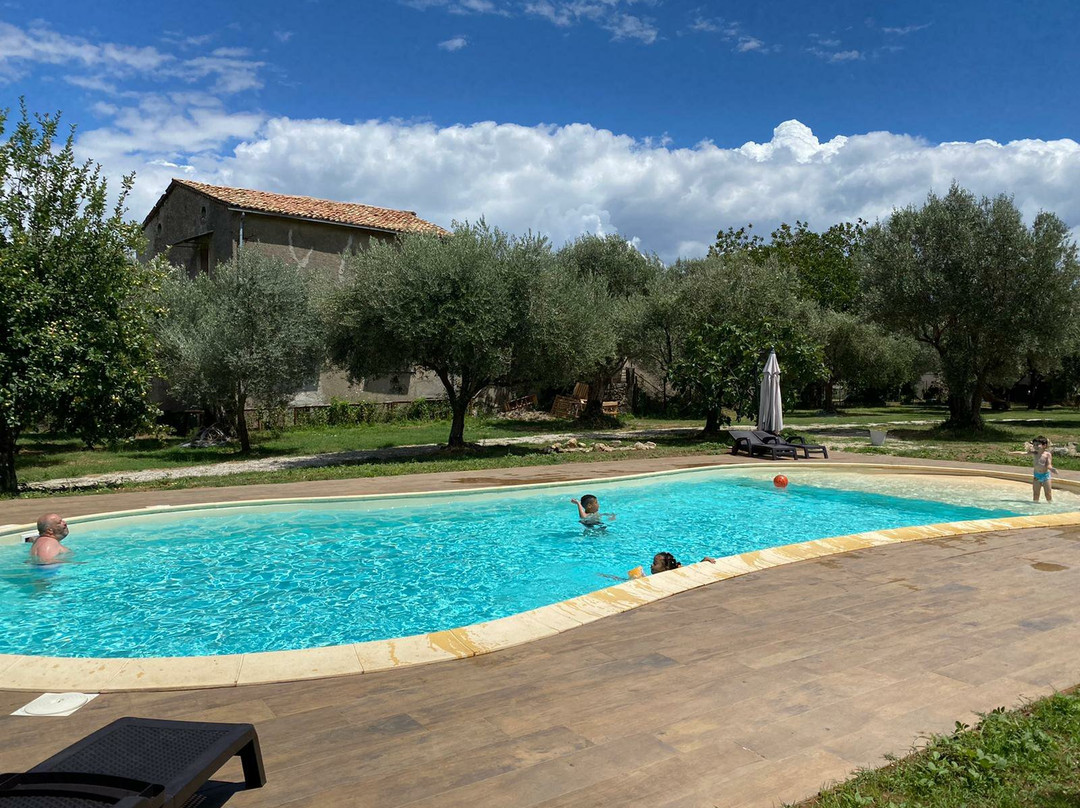 Palazzo Conforti主图