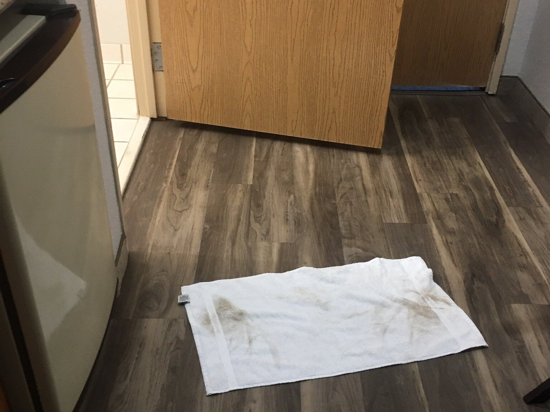 Holiday Inn Express & Suites Hiawassee By IHG主图