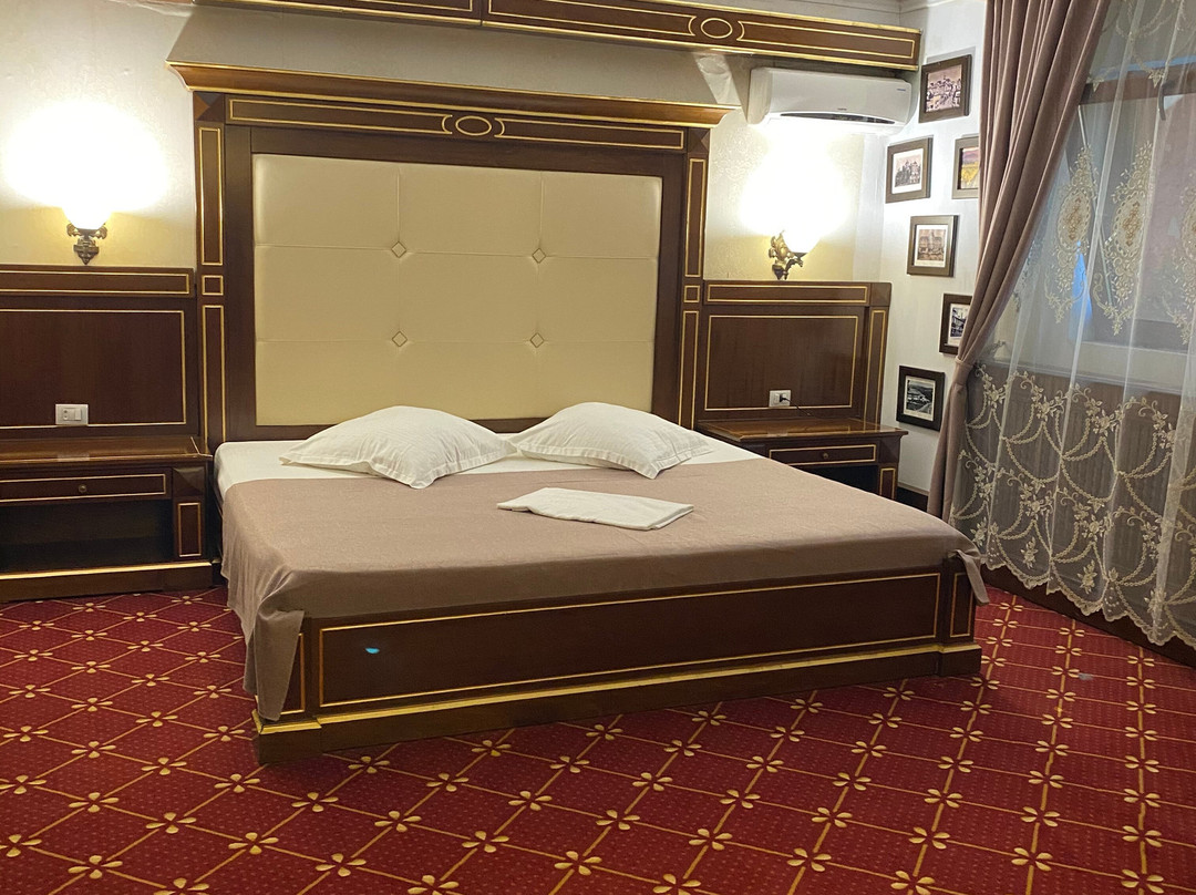 Pensiunea La Plopii Fara Sot主图