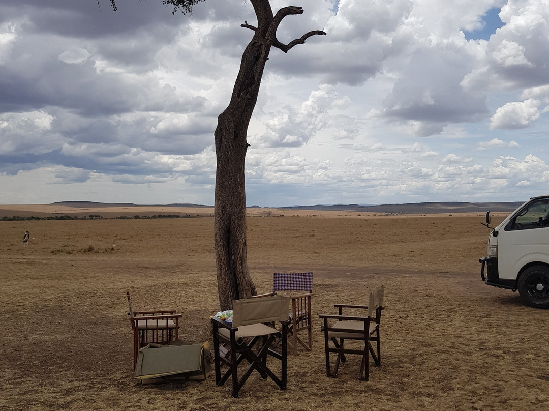 Maasai Mara National Reserve-纳罗克必去景点