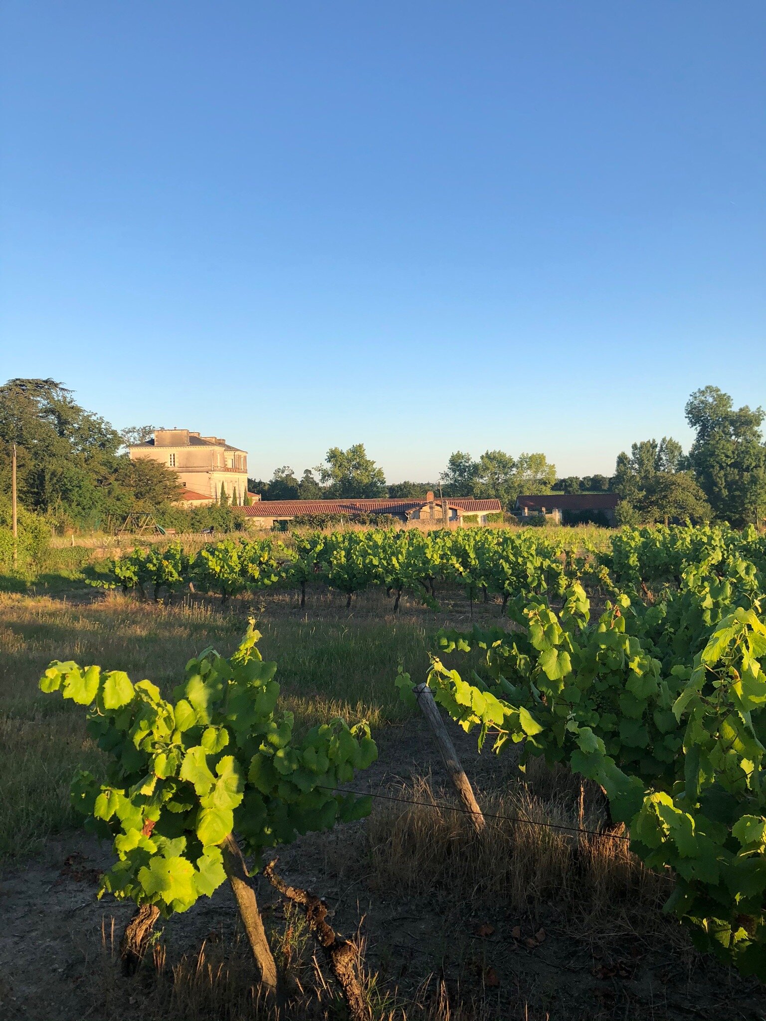 Chateau d'Yseron-官方
