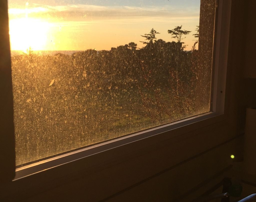 Ireland's Rustic Lodges主图