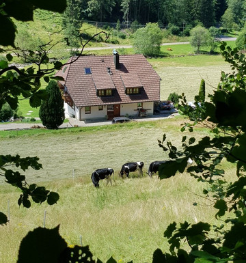 Gasthaus Zur Linde- Napf主图