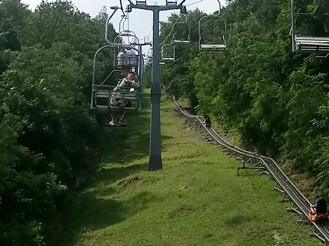 Zemplén Adventure Park景点图片