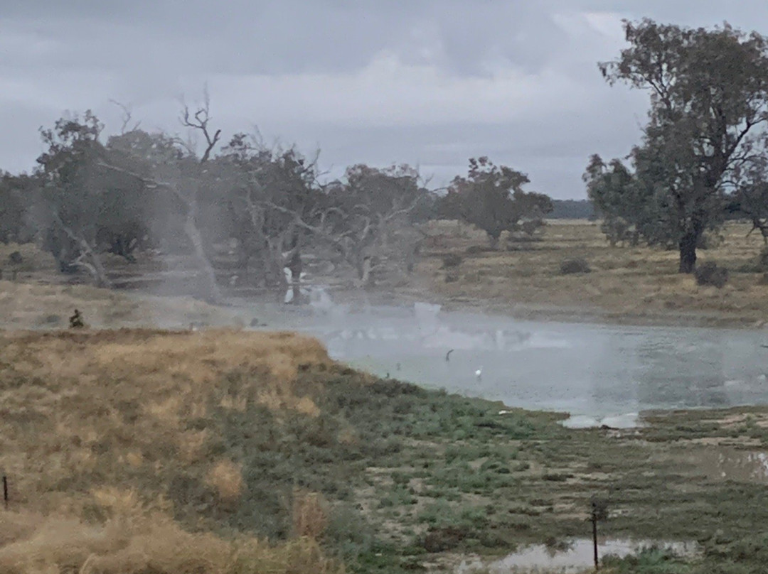 Pilliga Artesian Bore Bath景点图片