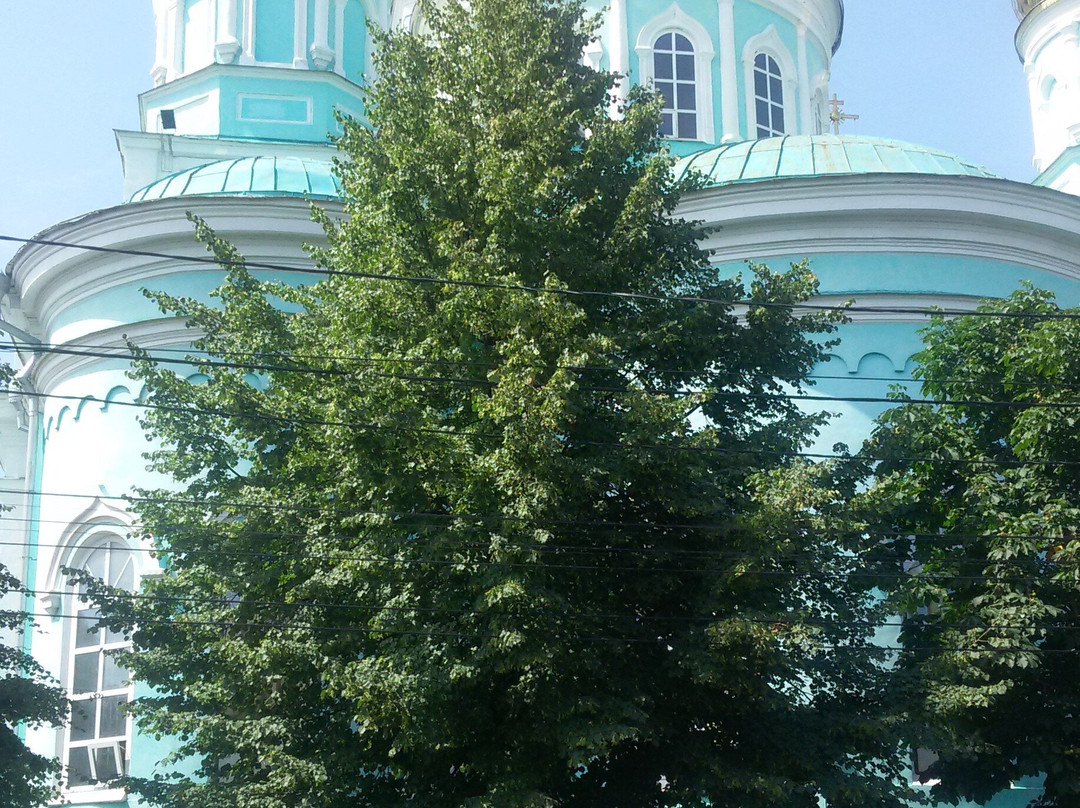 Kazan Cathedral景点图片
