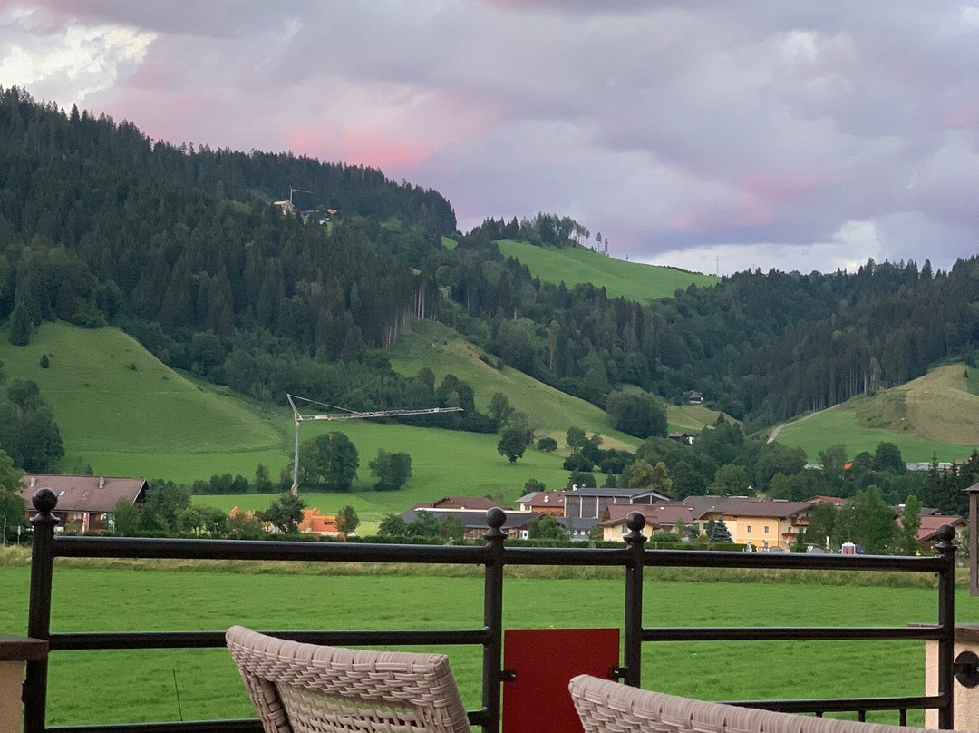 Wellness & Aparthotel Taxerhof主图