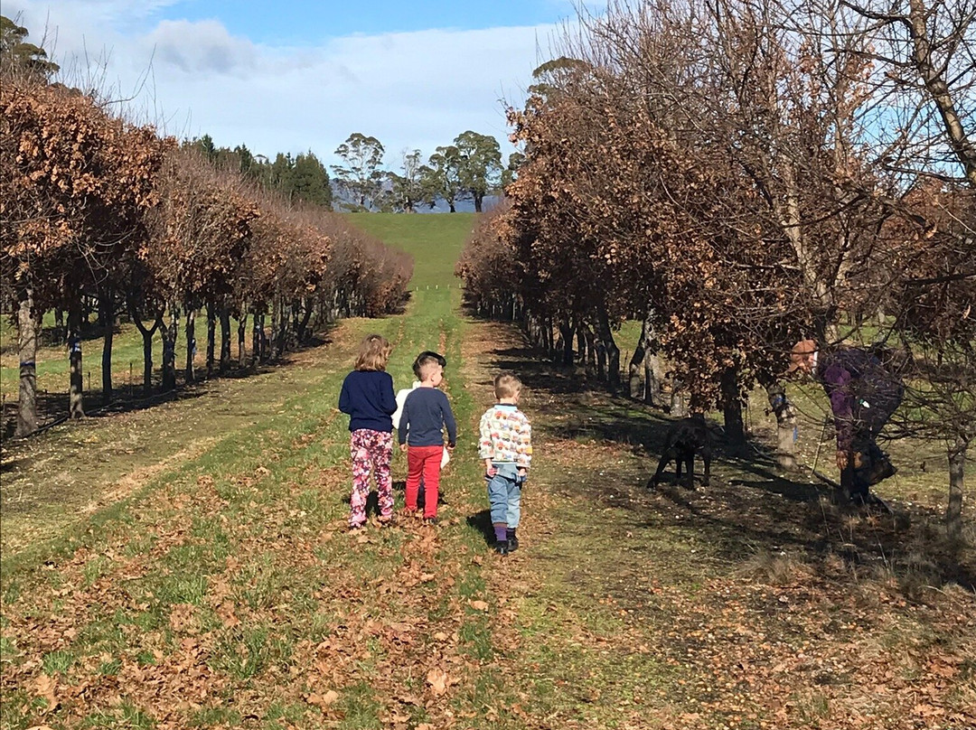 Truffles of Tasmania-德洛兰恩必去景点