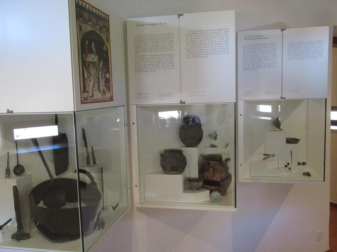 Museum auf der Löwenburg景点图片