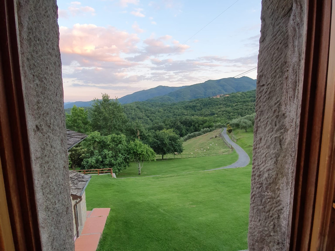 Azienda Agrituristica Costa d'Orsola主图