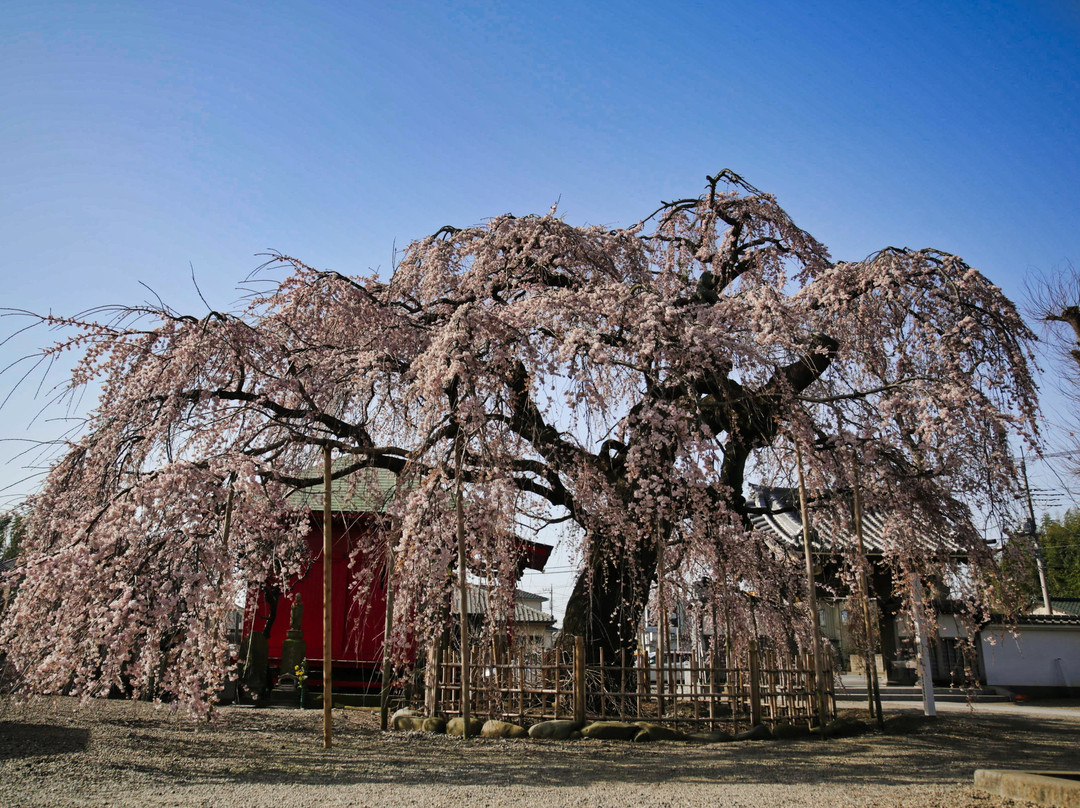 Enmei-ji Temple景点图片