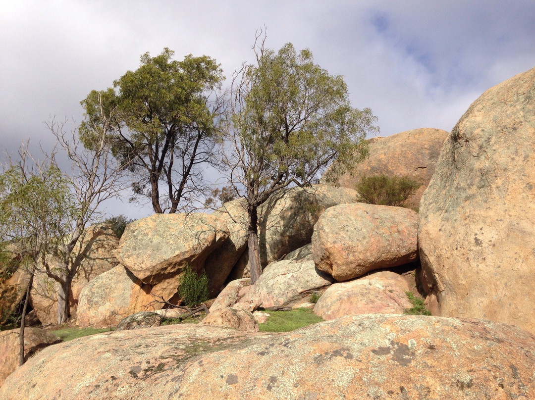 Kooyoora State Park-Inglewood必去景点