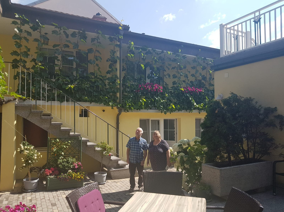 Pension Peterhof主图