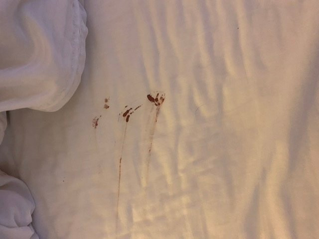 Element Denver Park Meadows主图