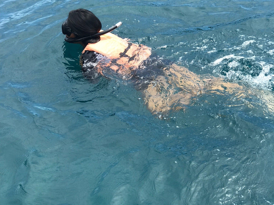 Safari Boat-帕岸岛必去景点