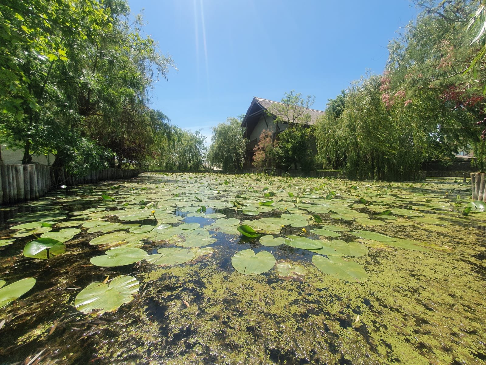 Green Village Resort-浴室