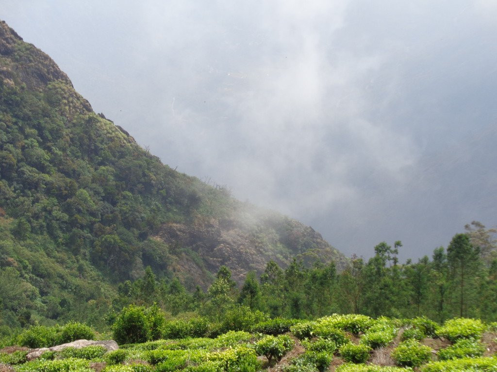 Kurangani-Theni必去景点