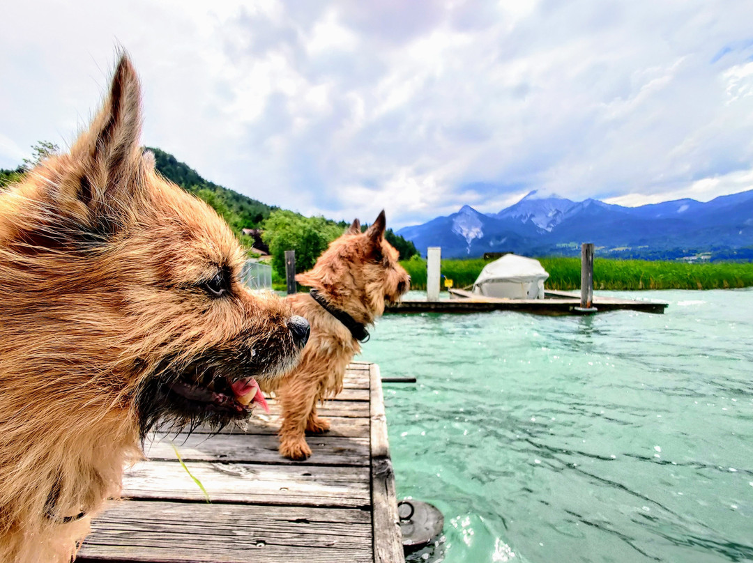 das Moser - Hotel Garni am See主图