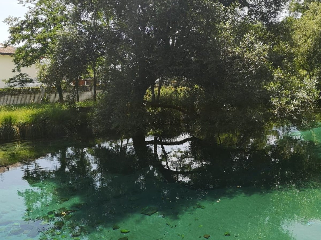 Parco del Grassano景点图片