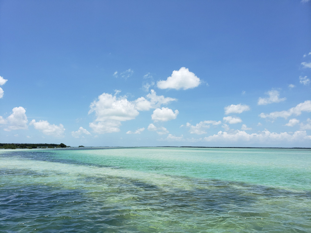 Marvin Key-Cudjoe Key必去景点