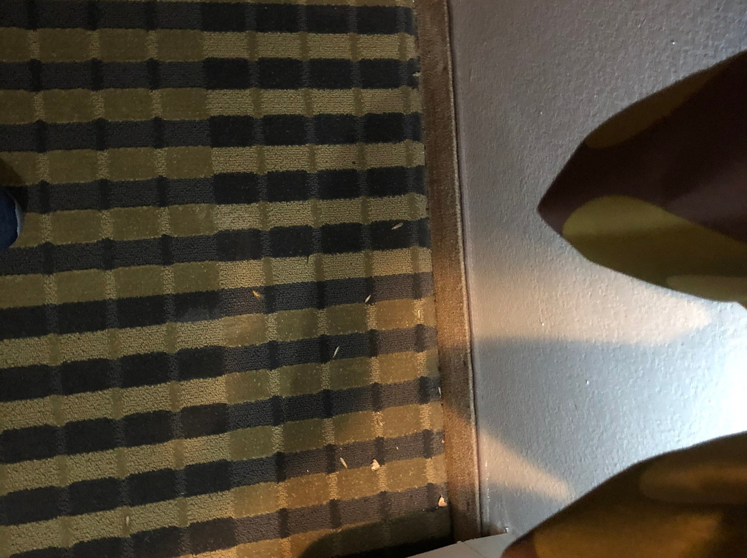 Super 8 by Wyndham Carthage TX主图