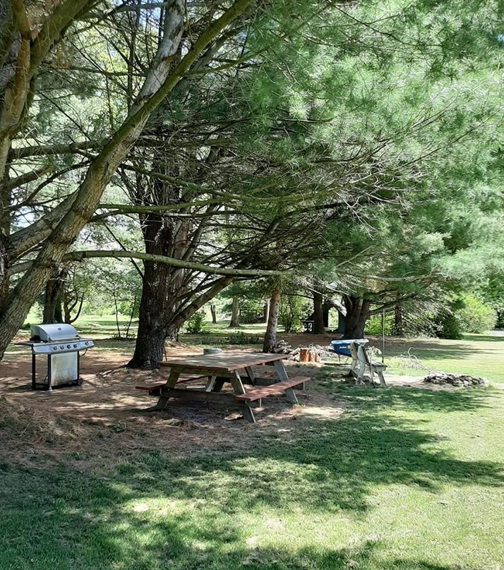 Colton Point Motel主图